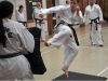 black-belts